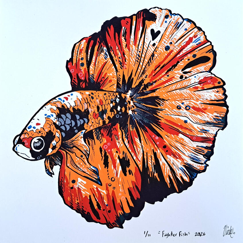 Fighter fish, screenprint on paper, 2026, 11 x 11 inches.
